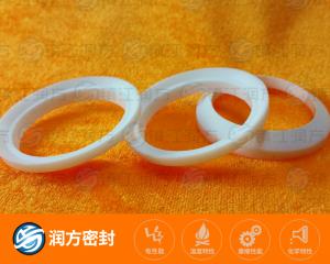 四氟碗狀墊片