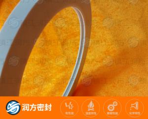 聚四氟乙烯 耐磨襯墊