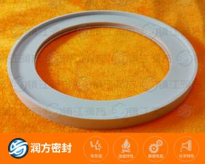 聚四氟乙烯 環(huán)形墊片