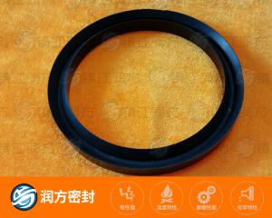 聚四氟乙烯增壓泵耐磨環(huán)
