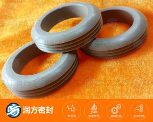 PTFE滑動(dòng) 皮塞