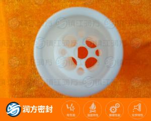 PTFE液位計 法蘭管