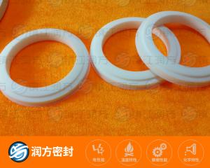聚四氟乙烯 墊片